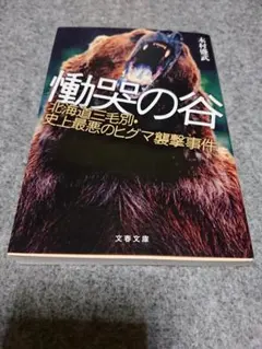 2026年最新】ヒグマ牙の人気アイテム - メルカリ
