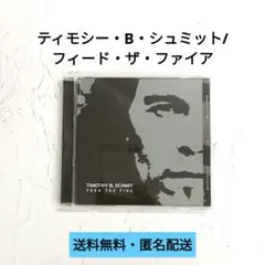 ティモシー・Ｂ・シュミット（イーグルス）／『エクスパンド』（国内盤） ティモシー・B・シュミット（イーグルス）／『エクスパンド