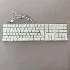 動作確認済 Apple 純正 有線キーボード A1048 日本語 JIS配列