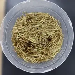 純重18g】金メッキ端子 ゴールド回収 都市鉱山 抽出用 - メルカリ