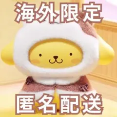 【専用出品】　きち　初期ピカ　ハンドメイド　ひつじ・ねこ着ぐるみ 専用出品】 きち様 専用 初期ピカ ハンドメイド ねこ着ぐるみ - メルカリ