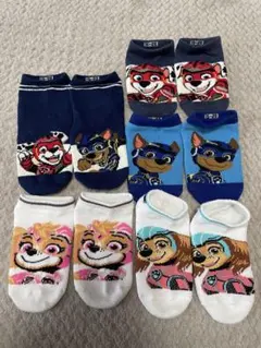 マイティー パウ・パトロール 靴下 5足セット 15-20