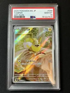 PSA10]ドンメル AR - メルカリ