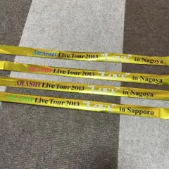 ARASHI Live Tour 2013 