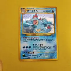 旧裏ポケカ オーダイル 渦巻きホロ プレミアムファイルPROMO 第1世代