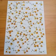 Item thumbnail for item 63f51869-8340-4e5f-9dee-ab889907181c