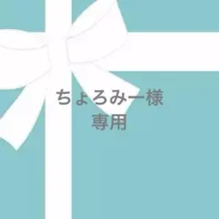 ★ちょろみー様専用ページ★