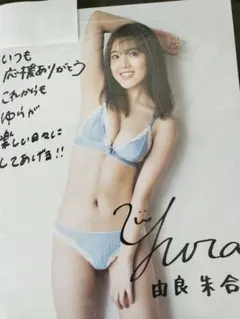 白河芹 直筆 サイン パネル BLT graph 廃盤 seju - メルカリ