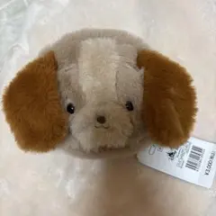 レディ　ポーチのサムネイル