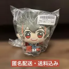 カラフルピーチ カラピチ ちびぐるみ 2025 vol.1 ゆあんくんのサムネイル