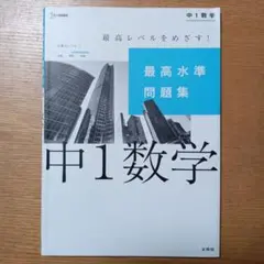 中1数学 最高水準問題集