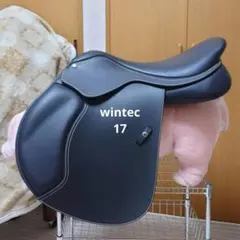 Item thumbnail for item 1e9f581b-40ae-40ea-b16a-46436c745983