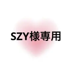 SZY様専用