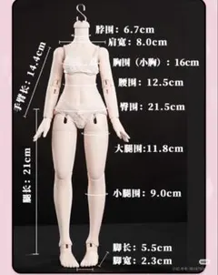 KIMDOLL ボディ 1/4ドール サイズ MDD セミホワイト ドールボディ 