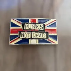 S104.14 PUNKS NOT DEAD ベルトバックル