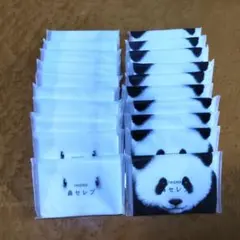 Item thumbnail for item 85c0e5c3-a83c-4012-8d37-402359e273c9