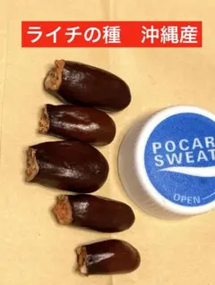 ♡ 대인기!품절되기 전에 서두르세요!오키나와 국내산 리치 씨앗, 5개