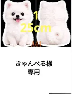 きゃんべる様専用