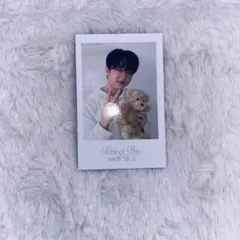 straykids チャンビン シーグリトレカ