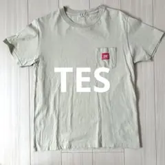 TES ベージュ Tシャツ Mサイズ