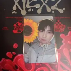 NEXZ Mmchk メクス ヨントン ひまわりトレカ ユウキ