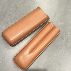 Item thumbnail for item 7a6db66a-8e5e-4170-963d-1fd75b4ae49a