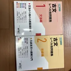 古文レベル別問題集