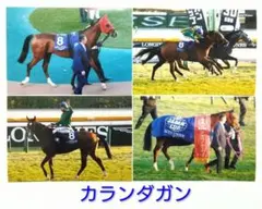 カランダガン 2025年 ジャパンカップ 生写真 L判4枚セット