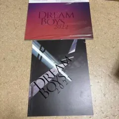 DREAM BOYS 2023 渡辺翔太 クリアファイル - メルカリ