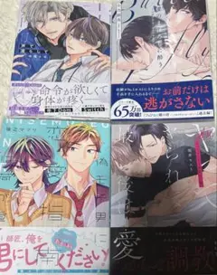2025年最新】bl漫画まとめ売りの人気アイテム - メルカリ
