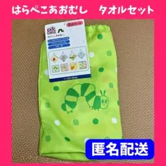 在庫1点のみ❤️匿名配送❤️はらぺこあおむし ループ付タオル ハンカチ 9点 保育園