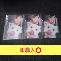 【即購入⭕】NEVER SAY NEVER 通常版 ハンユジン レオ ZB1