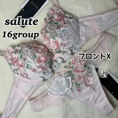 サルート16グループフロントエックスブラソングセット(ピンク)