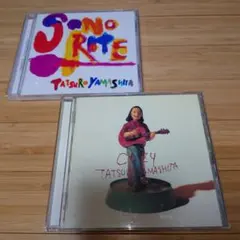 山下達郎　「COZY」・「SONORITE」２枚セット