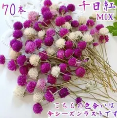 yuriika様 リクエスト 2点 まとめ商品