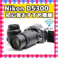 ✨初心者おすすめ✨ Nikon D5300 ダブルズームキット Wi-Fi搭載 ニコンD ニコン Nikon D5300 AF-P ダブルズームキット デジタル