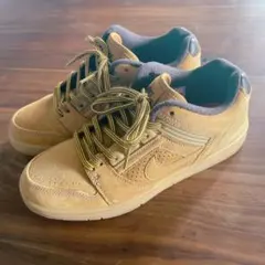 Nike Air Force 2 Low SB Premium