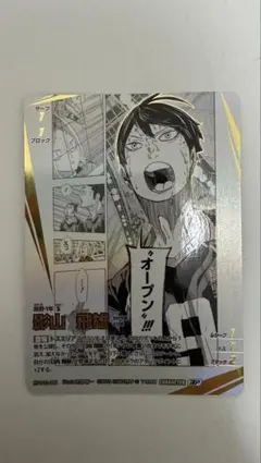 ハイキュー!! バボカ!! BREAK ゴミ捨て場の決戦 頂P 影山飛雄