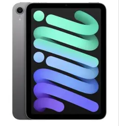 iPad mini (第7世代) スペースグレー