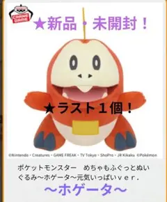 2026年最新】ホゲータ ぬいぐるみ めちゃもふぐっとの人気アイテム