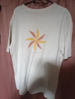 【Patagonia】パタゴニア　レア　メンズ・ティーサイクル・Tシャツ