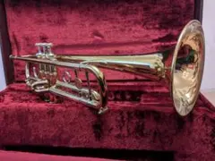 Item thumbnail for item 8c41a8da-5ff2-4489-a8c8-b92b0d7f7322