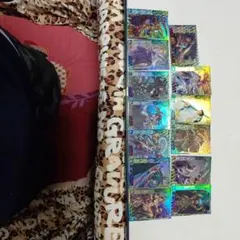 k*2様 三国志大戦3 sr　しょく