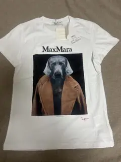 MaxMara チプリア DOGプリントTシャツ S 訳アリ