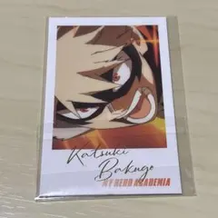 僕のヒーローアカデミア ヒロアカ 爆豪勝己Wフォトカードコレクション