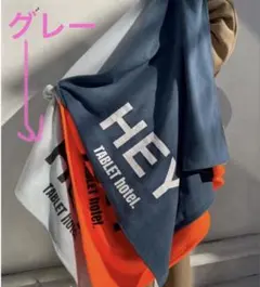 【新品未使用タグ付き】su-do ノベルティ ブランケット ライトグレー 非売品