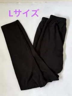 ワークマン☆シン・ホッとするインナーEXTRA タイツ　(Lサイズ)のサムネイル