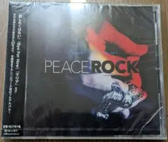 森友嵐士（T-BOLAN）PEACE ROCK 未開封