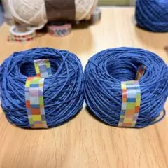 リネン100% ラドログリー　Lin 50*2玉セット　計100g