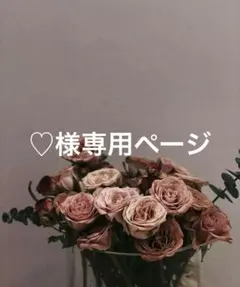 ♡様専用ページ